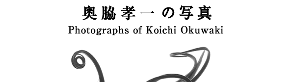 奥脇孝一の写真 Photographs of Koichi Okuwaki